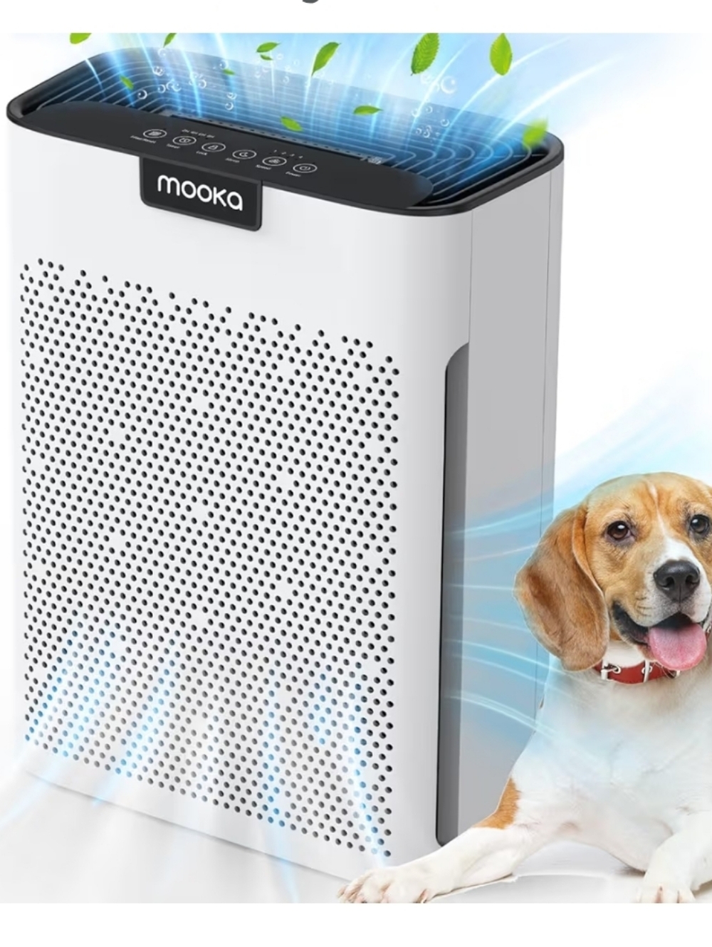 Air Purifier For Homes